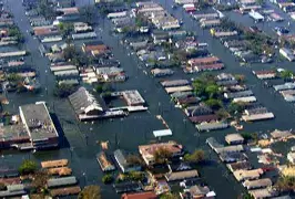 咪咕娱乐网站 -新奥尔良鹈鹕内部会议纪要流出：今夜更衣室发声，葡超使命明确，训练强度明显提升的简单介绍